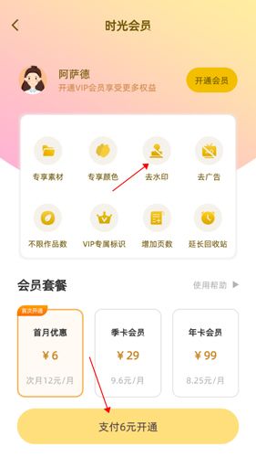 时光手帐Pro10