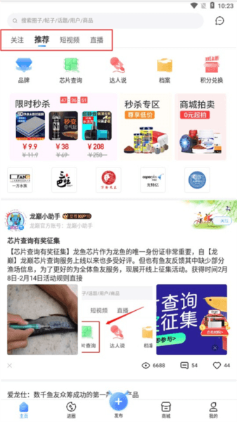 龙巅app12