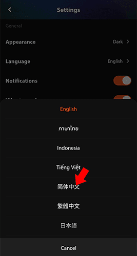 怎么切换中文配图4