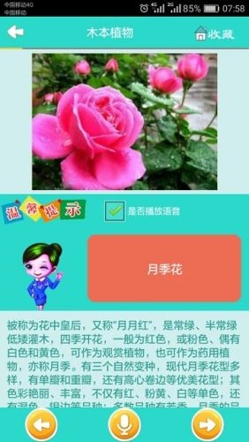 看图识花app2