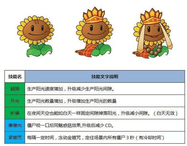 植物介绍配图4