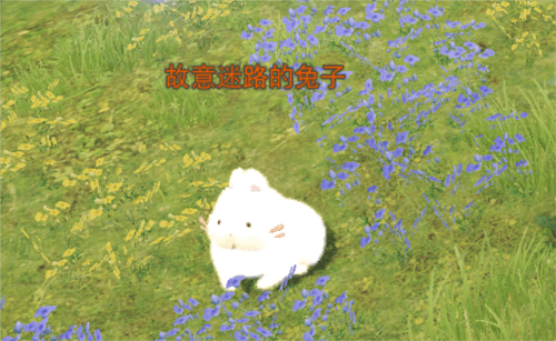 天下5