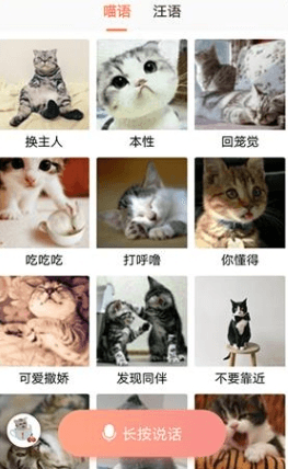 猫语翻译器app1