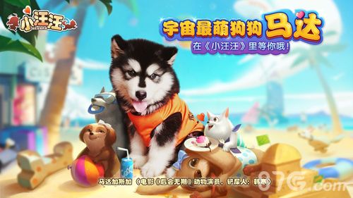 小汪汪宣传图
