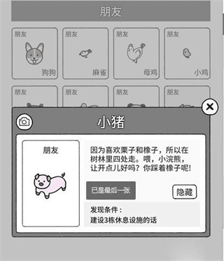 猫咪真的很可爱隐藏动物怎么找出来8