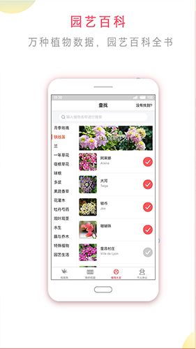 花信app功能
