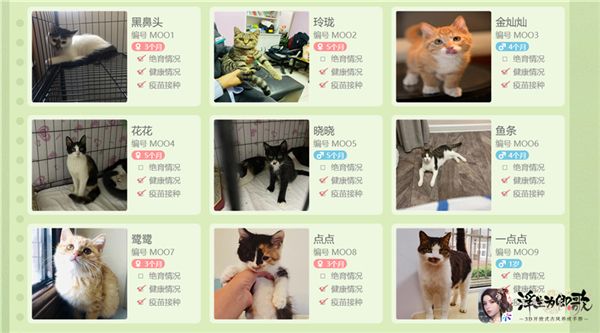 《浮生为卿歌》×苏州小动物保护协会 公益捐赠活动即将起航 《浮生为卿歌》×苏州小动物保护协会 公益捐赠活动即将起航