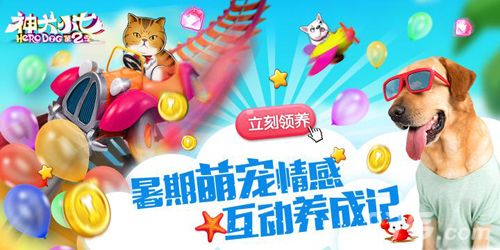 神犬小七2宣传图