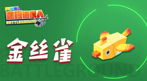 图5.jpg 疯狂像素人5