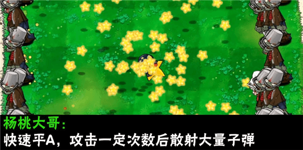 植物介绍配图19