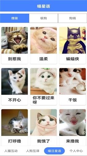 萌趣猫狗翻译器图片