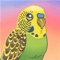 birdkind最新版下载_BirdKind下载 v1.69安卓版