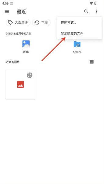 怎么显示隐藏文件配图3