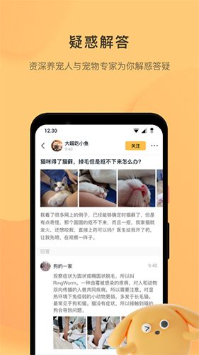 宠明app1