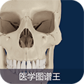 医学图谱王app官方正版