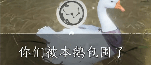 怪盗一只鹅隐藏成就配图3