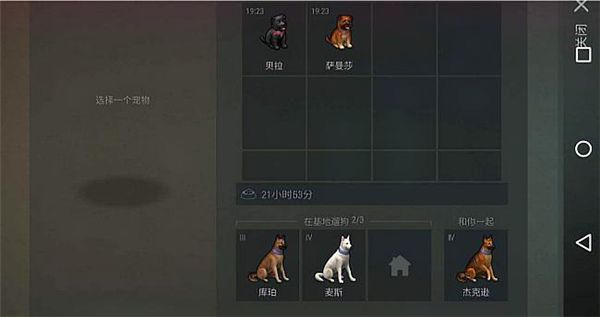 怎么带狗配图5