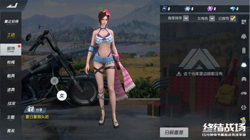夏日蔷薇盛开