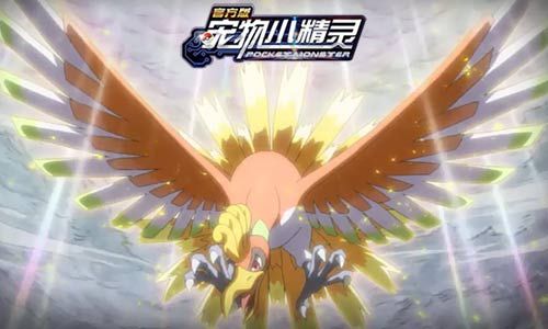 宠物小精灵金鸟登场3
