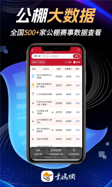 青鸽网宣传图