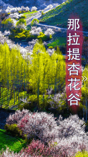 新疆新源好地方官方app软件特色