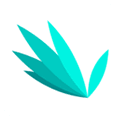 指尖文学app