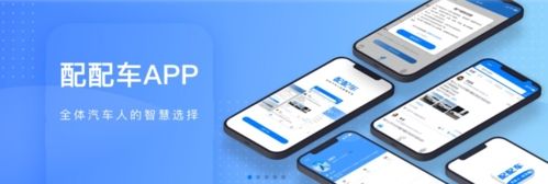 配配车app2