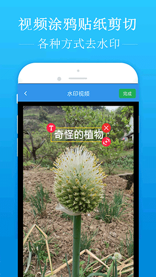 去水印吧1