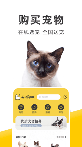 买只宠物宣传图