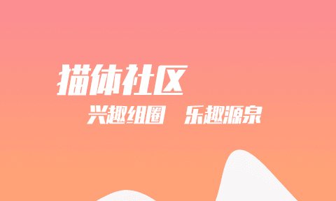 猫体比分