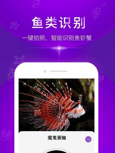 问鱼app2