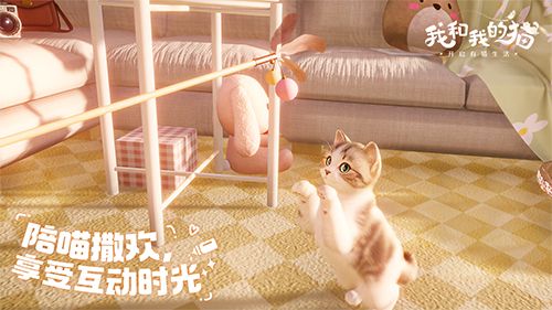 猫咪集结中 西山居休闲社交手游《我和我的猫》测试今日开启 猫咪集结中 西山居休闲社交手游《我和我的猫》测试今日开启