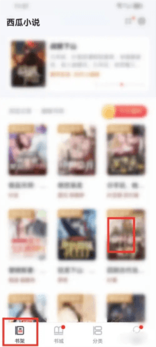 西瓜小说app6