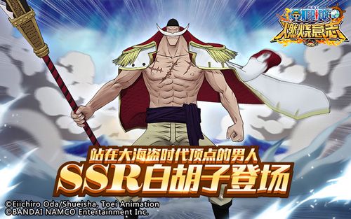 航海王:燃烧意志