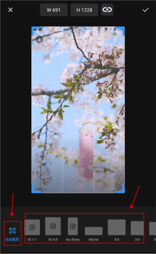 Polish高级照片编辑器app图片12