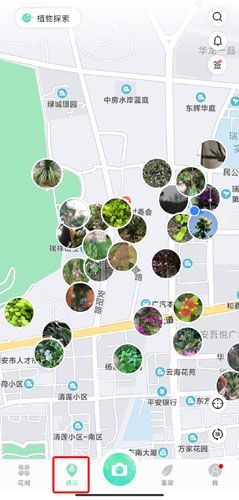 形色app图片11
