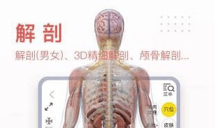 3Dbody艺用2