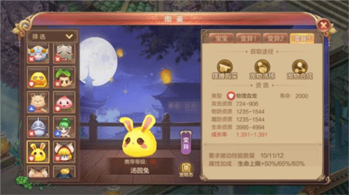 宠物推荐配图2