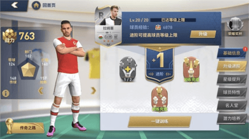绿茵奇迹培养系统介绍