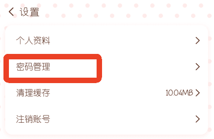 怎么设置密码配图2