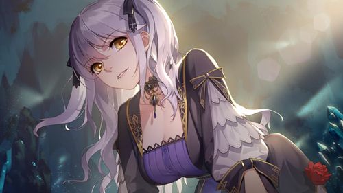 姬魔恋战纪2
