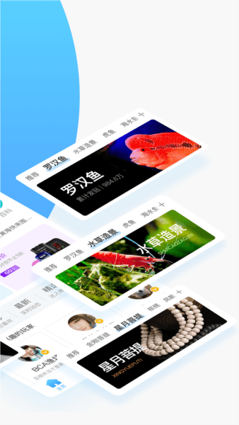 龙巅app2