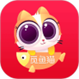 觅鱼猫
