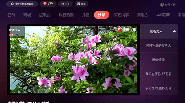 全民K歌MV版宣传图