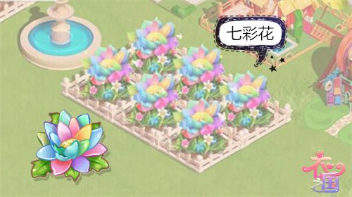 爱与真诚——七彩花