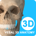 维萨里3D解剖免费版下载_维萨里3d解剖app下载 v7.1.1安卓版