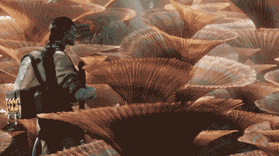 7.gif 阿凡达:重返潘多拉7