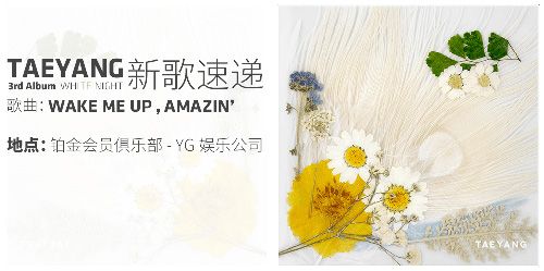 节奏大爆炸2