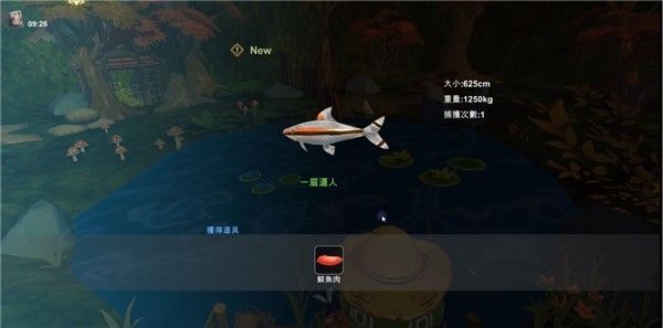 如何钓鱼配图5