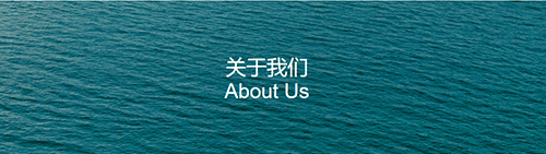 船拉拉货主版